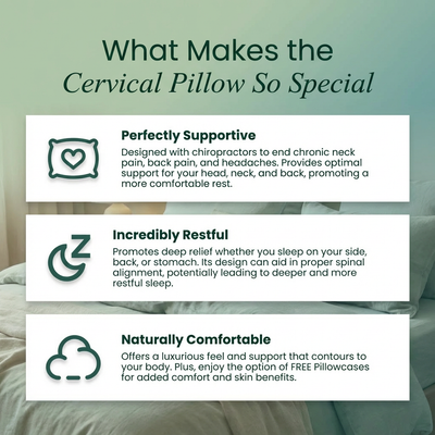 CervAlign™ Memory Foam Pillow Relivix